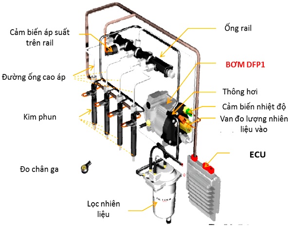 So-do-he-thong-phun-nhien-lieu-common-rail