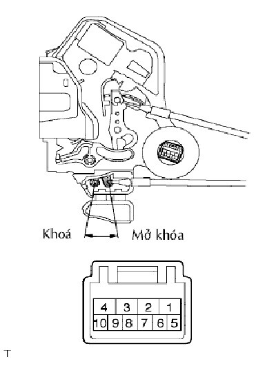 DO-DIEN-KHOA-CUA-SAU-TRAI-XE-O-TO